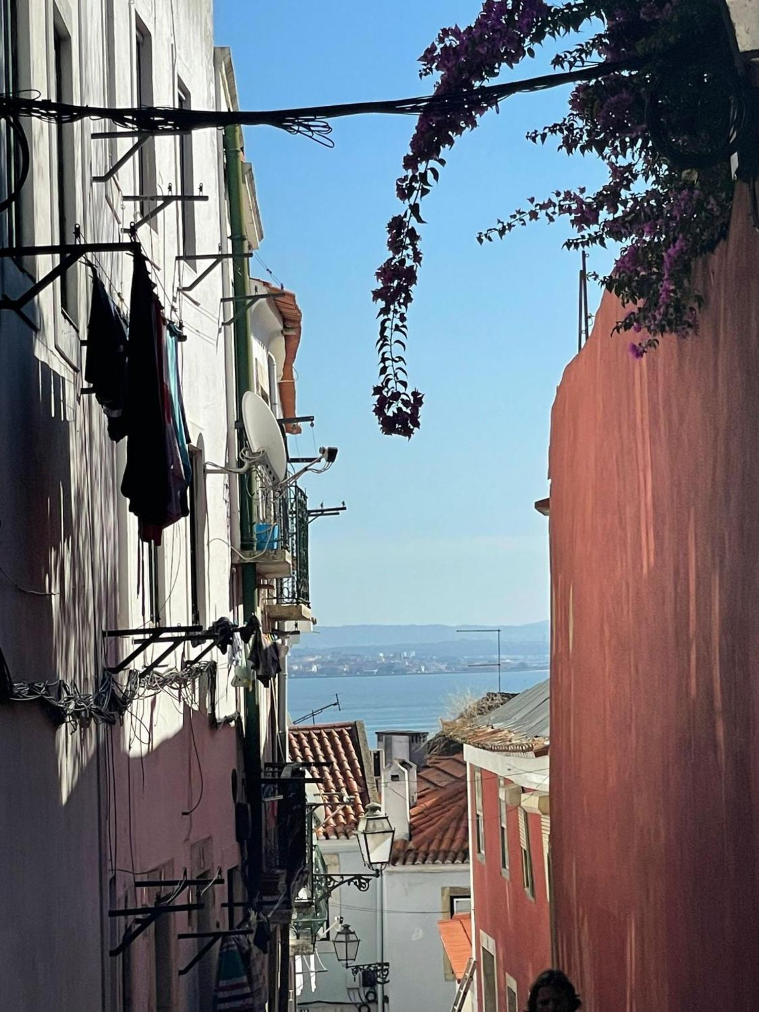 Quiet Street Alfama Διαμέρισμα Lisboa Εξωτερικό φωτογραφία